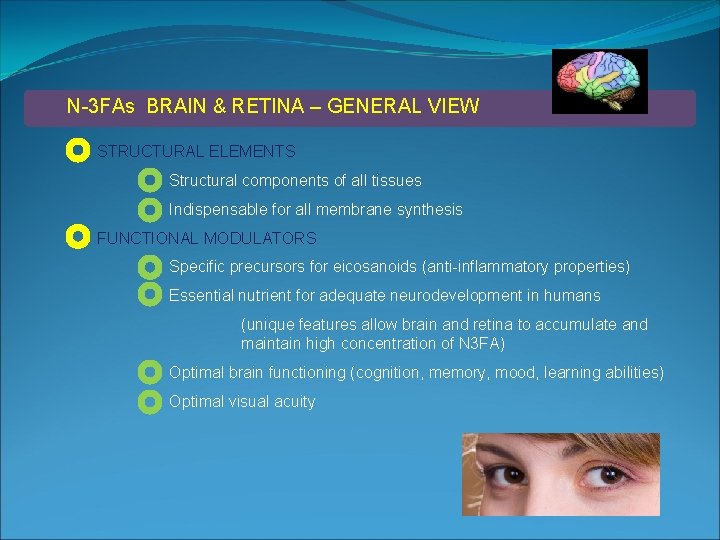 N-3 FAs BRAIN & RETINA – GENERAL VIEW STRUCTURAL ELEMENTS Structural components of all