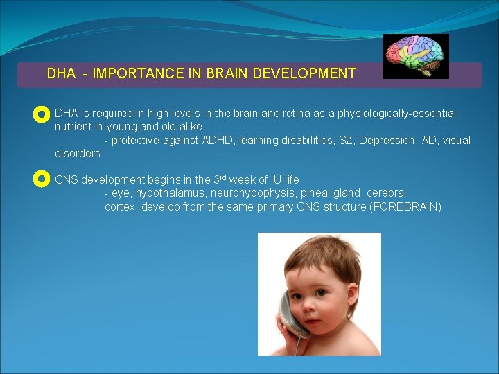 DHA - IMPORTANCE IN BRAIN DEVELOPMENT DHA is required in high levels in the