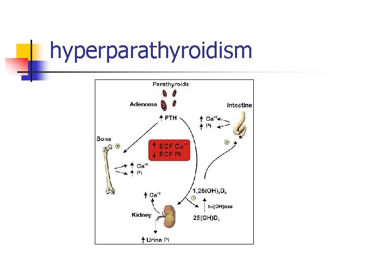 hyperparathyroidism 