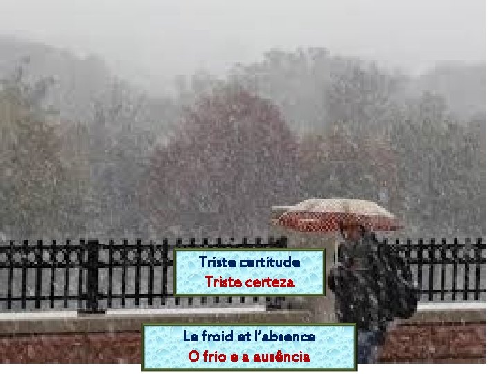 Triste certitude Triste certeza Le froid et l’absence O frio e a ausência 