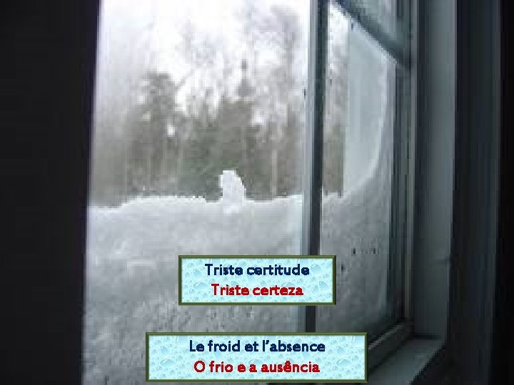 Triste certitude Triste certeza Le froid et l’absence O frio e a ausência 