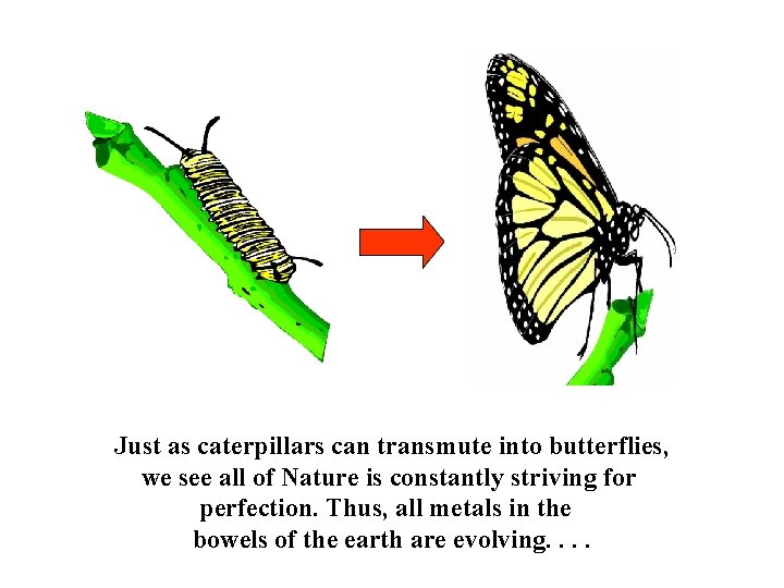 Just as caterpillars can transmute into butterflies, we see all of Nature is constantly
