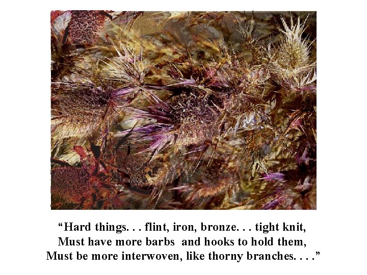 “Hard things. . . flint, iron, bronze. . . tight knit, Must have more