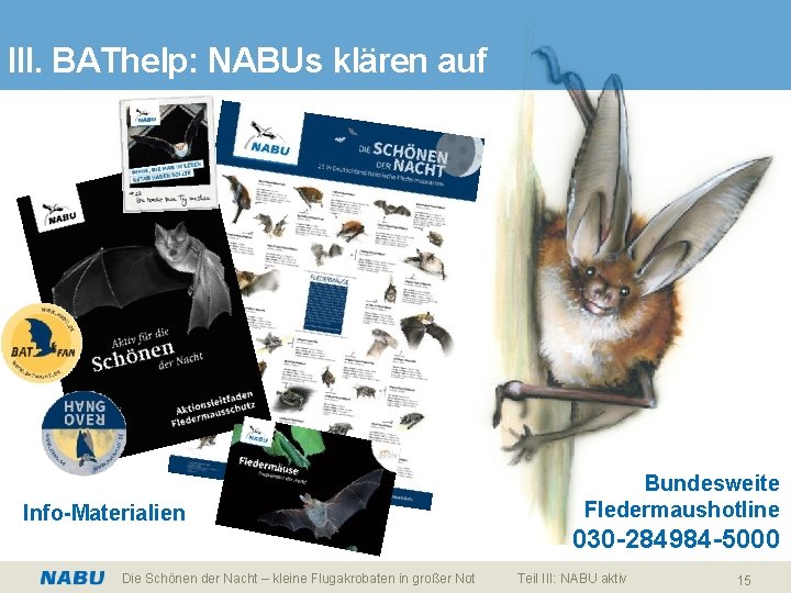 III. BAThelp: NABUs klären auf Info-Materialien Die Schönen der Nacht – kleine Flugakrobaten in
