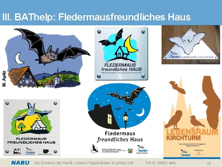 III. BAThelp: Fledermausfreundliches Haus Die Schönen der Nacht – kleine Flugakrobaten in großer Not