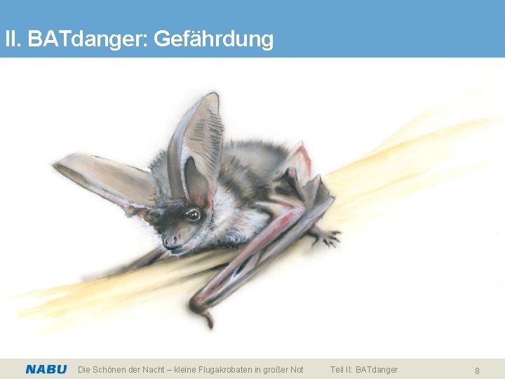 II. BATdanger: Gefährdung Die Schönen der Nacht – kleine Flugakrobaten in großer Not Teil