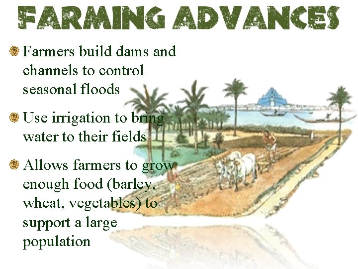 Farmers build dams and channels to control seasonal floods Use irrigation to bring water