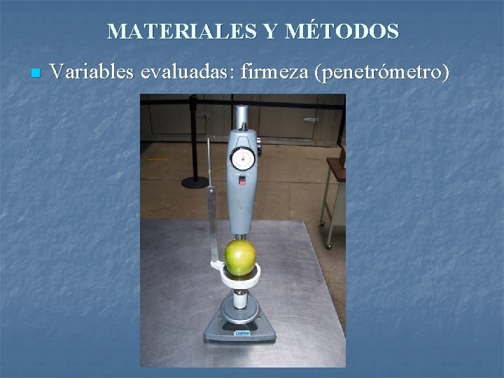 MATERIALES Y MÉTODOS n Variables evaluadas: firmeza (penetrómetro) 