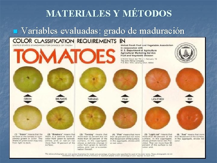 MATERIALES Y MÉTODOS n Variables evaluadas: grado de maduración 