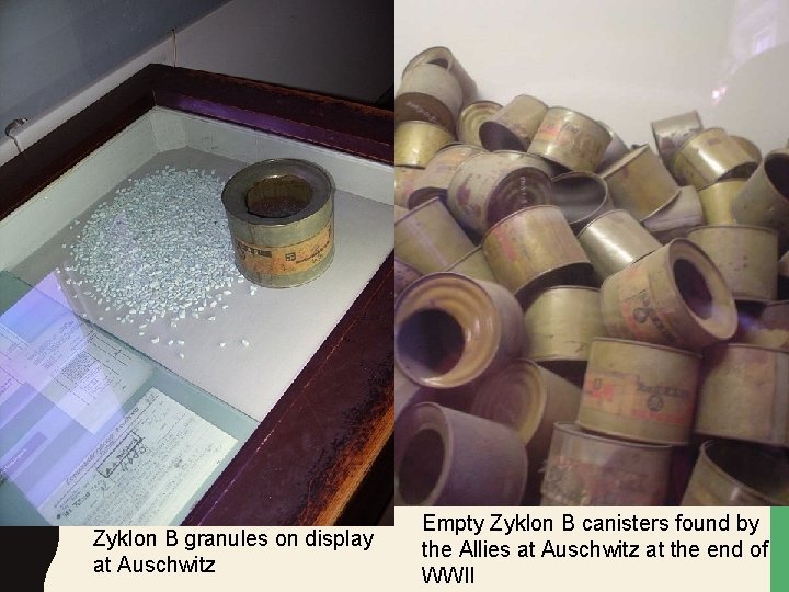 Zyklon B granules on display at Auschwitz Empty Zyklon B canisters found by the