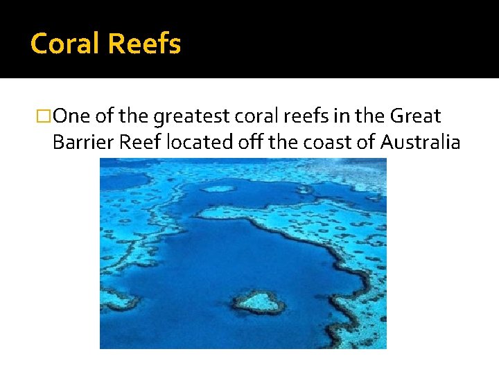 Coral Reefs �One of the greatest coral reefs in the Great Barrier Reef located