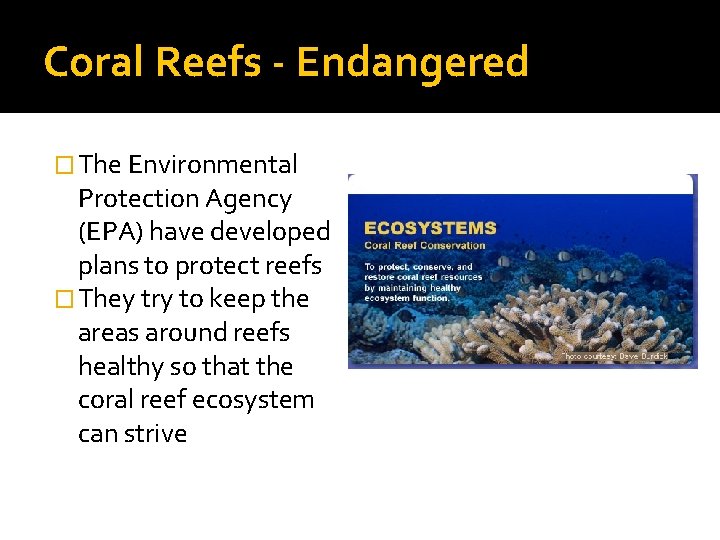Coral Reefs - Endangered � The Environmental Protection Agency (EPA) have developed plans to