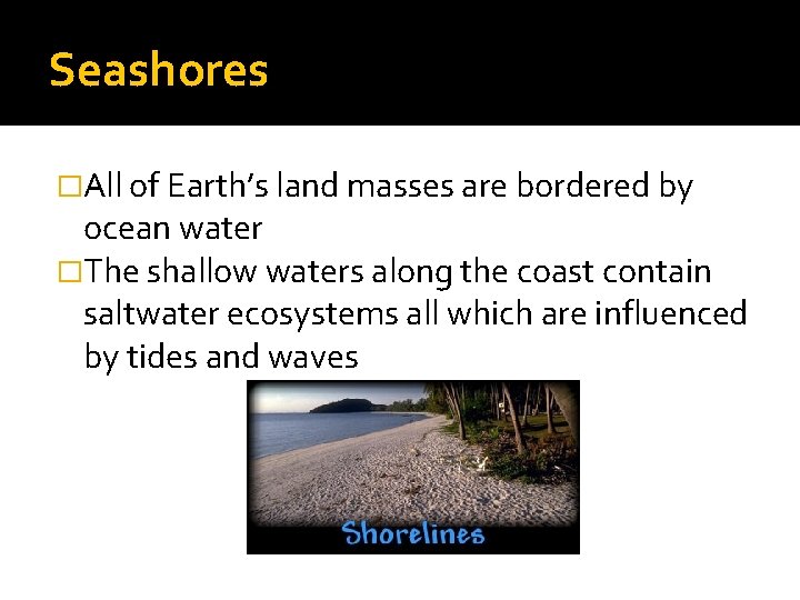 Seashores �All of Earth’s land masses are bordered by ocean water �The shallow waters