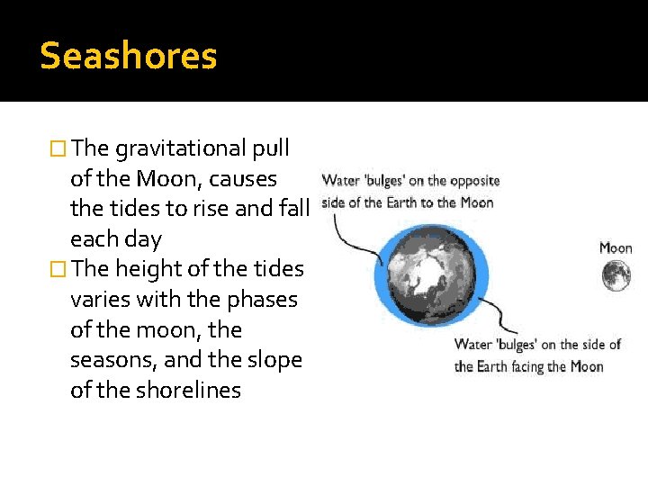 Seashores � The gravitational pull of the Moon, causes the tides to rise and