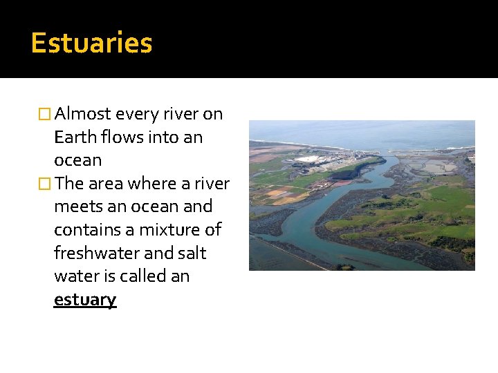 Estuaries � Almost every river on Earth flows into an ocean � The area