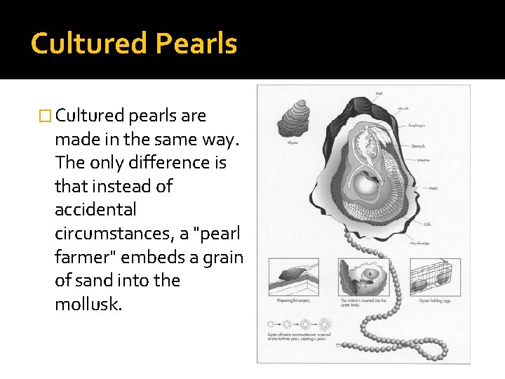 Cultured Pearls � Cultured pearls are made in the same way. The only difference