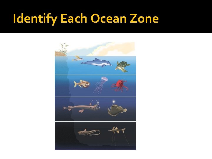 Identify Each Ocean Zone 