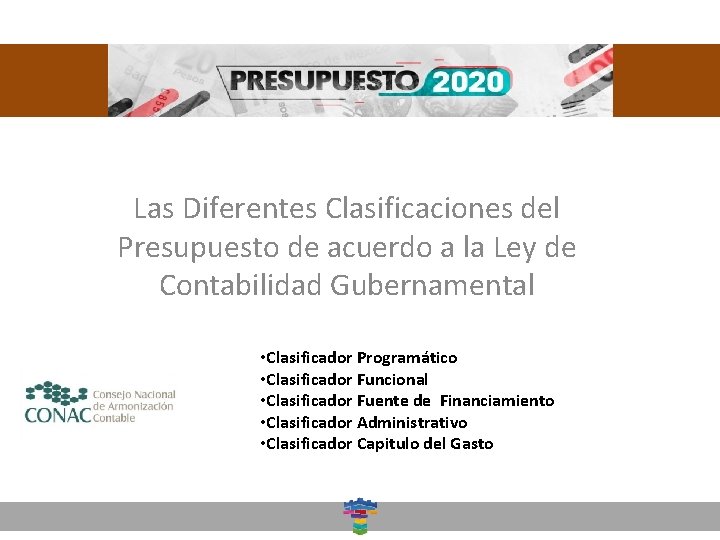 Dirección General de Desarrollo Social Las Diferentes Clasificaciones del Presupuesto de acuerdo a la