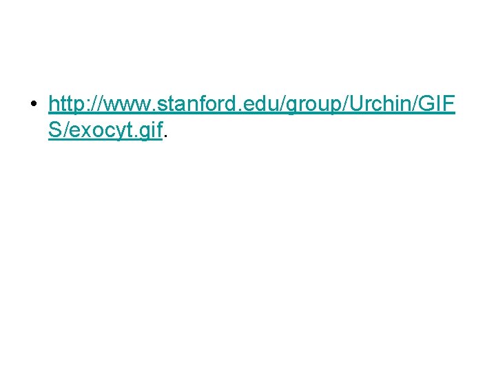  • http: //www. stanford. edu/group/Urchin/GIF S/exocyt. gif. 