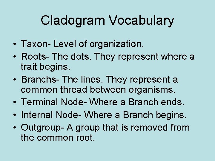 Cladogram Vocabulary • Taxon- Level of organization. • Roots- The dots. They represent where