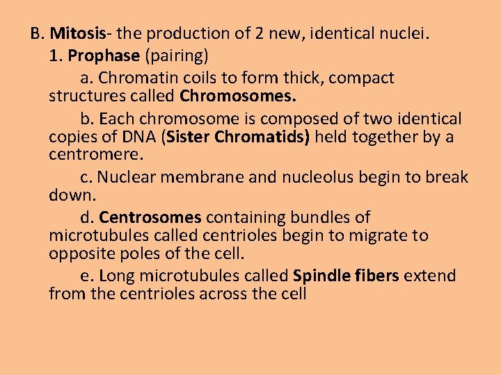 B. Mitosis- the production of 2 new, identical nuclei. 1. Prophase (pairing) a. Chromatin