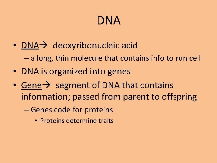 DNA • DNA deoxyribonucleic acid – a long, thin molecule that contains info to