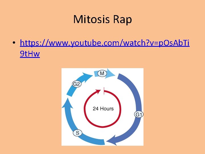 Mitosis Rap • https: //www. youtube. com/watch? v=p. Os. Ab. Ti 9 t. Hw