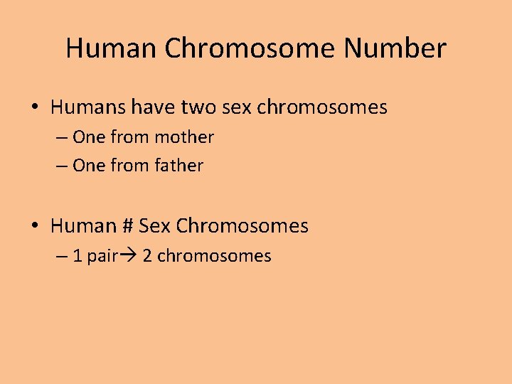 Human Chromosome Number • Humans have two sex chromosomes – One from mother –