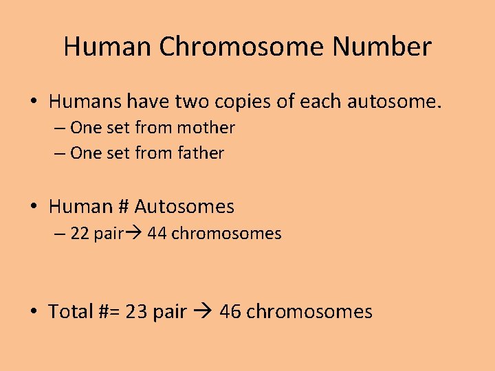 Human Chromosome Number • Humans have two copies of each autosome. – One set