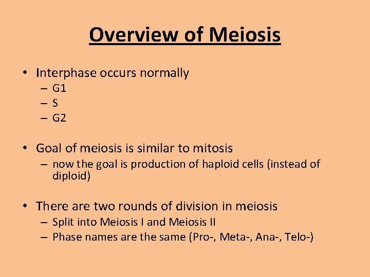 Overview of Meiosis • Interphase occurs normally – G 1 –S – G 2