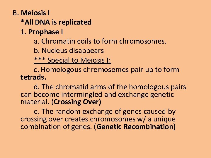 B. Meiosis I *All DNA is replicated 1. Prophase I a. Chromatin coils to