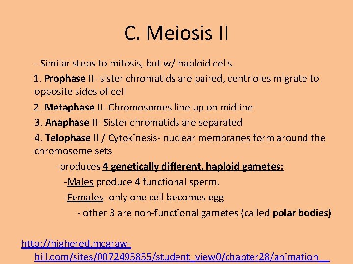 C. Meiosis II - Similar steps to mitosis, but w/ haploid cells. 1. Prophase