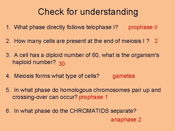 Check for understanding 1. What phase directly follows telophase I? prophase II 2. How
