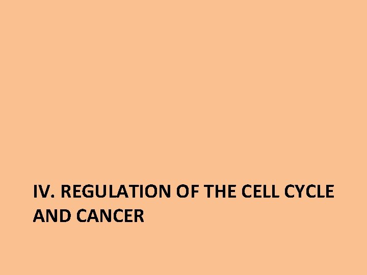 IV. REGULATION OF THE CELL CYCLE AND CANCER 