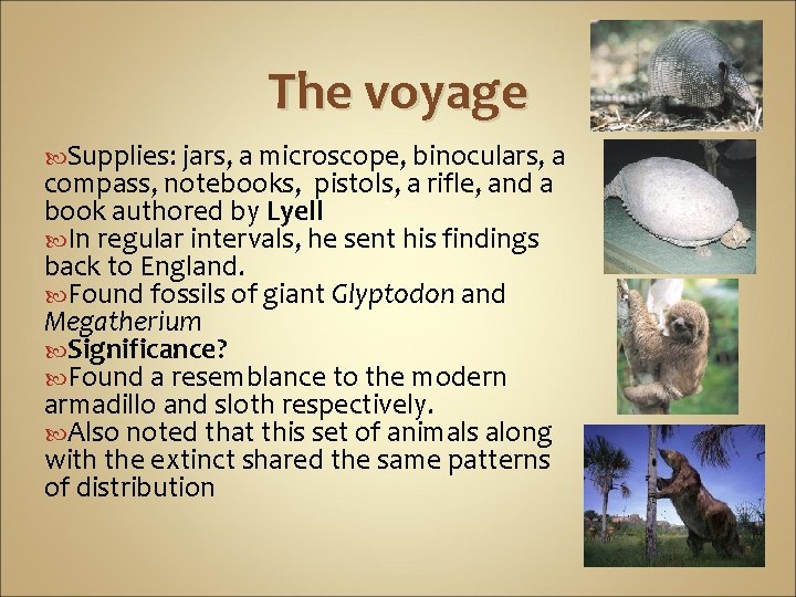 The voyage Supplies: jars, a microscope, binoculars, a compass, notebooks, pistols, a rifle, and