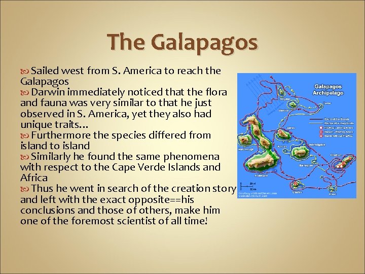The Galapagos Sailed west from S. America to reach the Galapagos Darwin immediately noticed