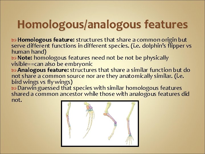 Homologous/analogous features Homologous feature: structures that share a common origin but serve different functions