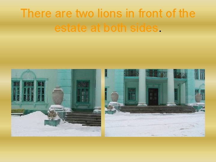 There are two lions in front of the estate at both sides. 