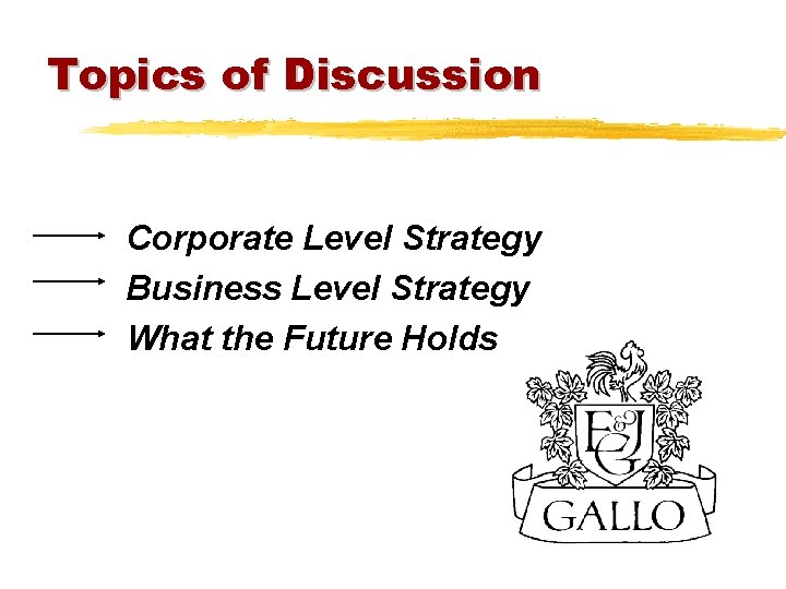 Topics of Discussion Corporate Level Strategy Business Level Strategy What the Future Holds 
