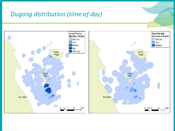 Dugong distribution (time of day) 