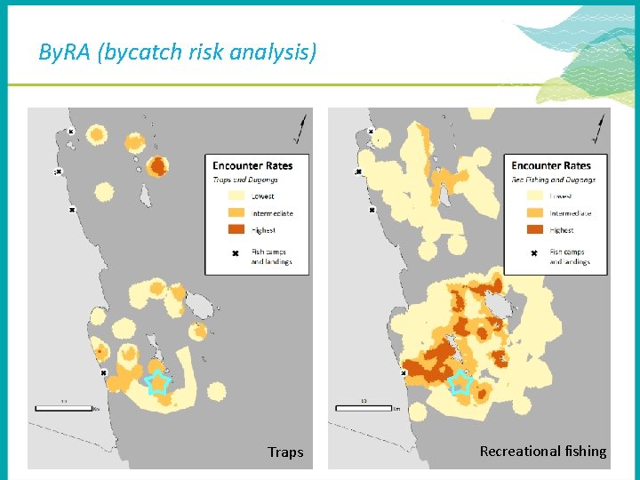 By. RA (bycatch risk analysis) Traps Recreational fishing 