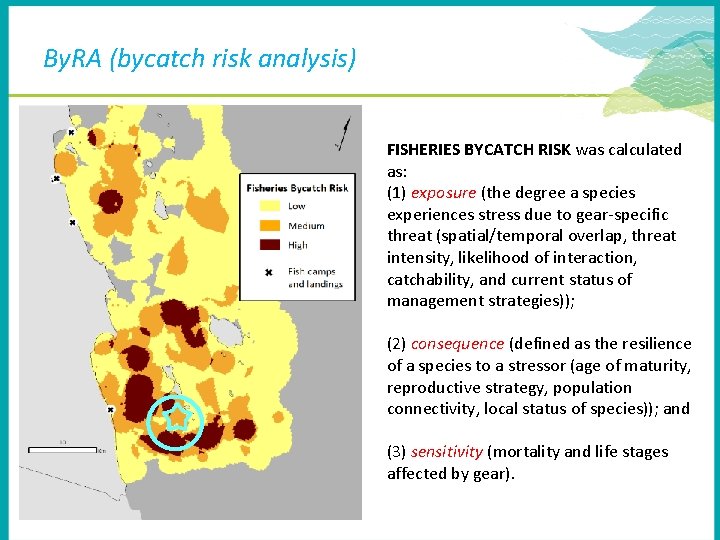 By. RA (bycatch risk analysis) FISHERIES BYCATCH RISK was calculated as: (1) exposure (the