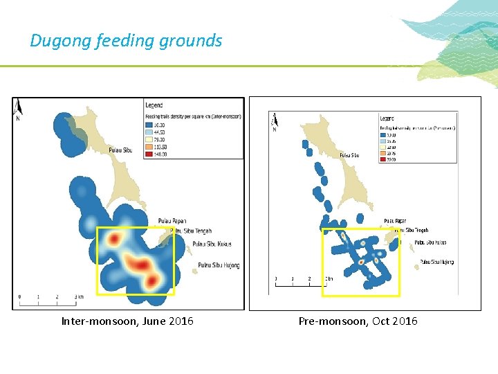 Dugong feeding grounds Inter-monsoon, June 2016 Pre-monsoon, Oct 2016 