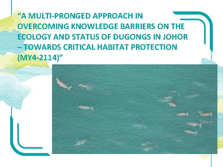 “A MULTI-PRONGED APPROACH IN OVERCOMING KNOWLEDGE BARRIERS ON THE ECOLOGY AND STATUS OF DUGONGS