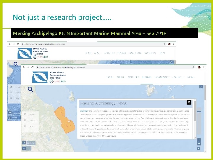 Not just a research project…. . Mersing Archipelago IUCN Important Marine Mammal Area –