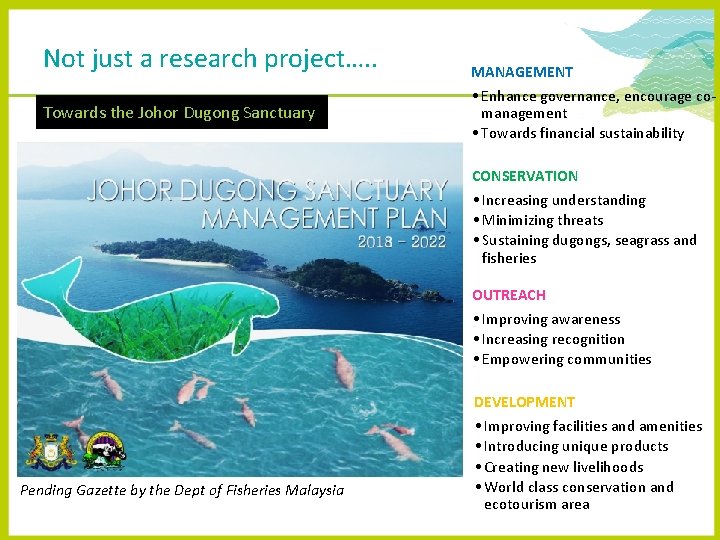 Not just a research project…. . Towards the Johor Dugong Sanctuary MANAGEMENT • Enhance