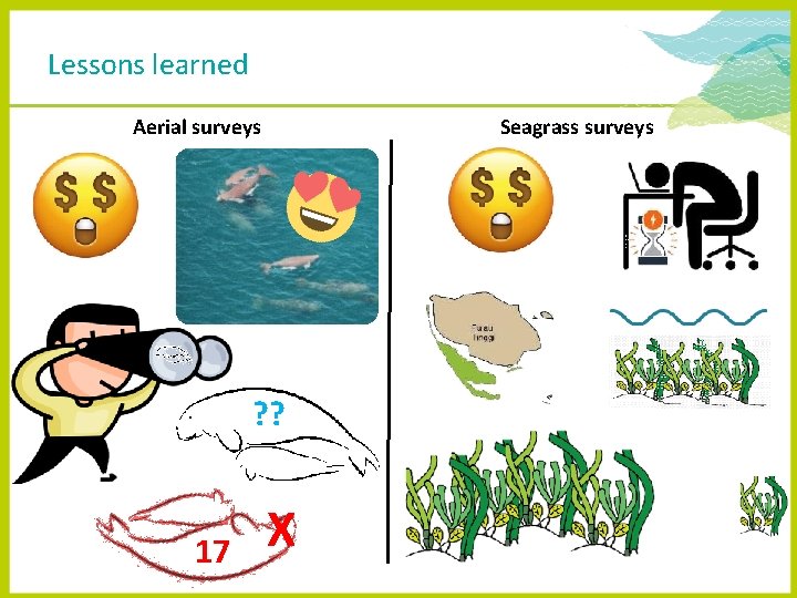 Lessons learned Aerial surveys Seagrass surveys ? ? 17 X 