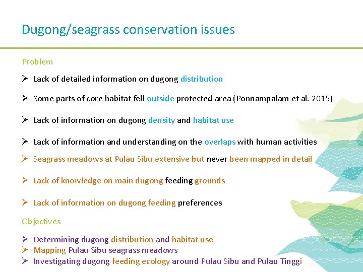 Dugong/seagrass conservation issues Problem Ø Lack of detailed information on dugong distribution Ø Some