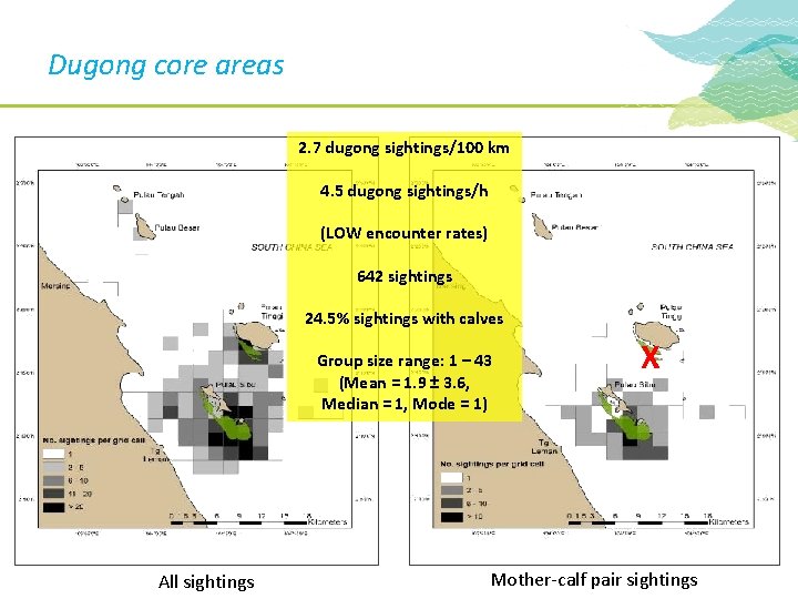 Dugong core areas 2. 7 dugong sightings/100 km 4. 5 dugong sightings/h (LOW encounter