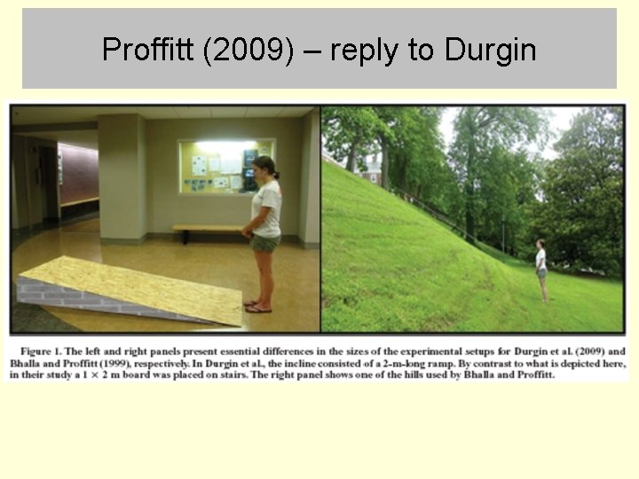 Proffitt (2009) – reply to Durgin 